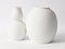 Minimalist Bisque Porcelain Vases from Hutschenreuther Tirschenreuth, 1970s, Set of 2 5