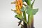 South American Carved Wood Banana Tree Sculpture 6