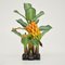 South American Carved Wood Banana Tree Sculpture 1