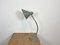 Lámpara de mesa cuello de ganso industrial en gris de Hala, años 60, Imagen 9