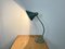 Lámpara de mesa cuello de ganso industrial en gris de Hala, años 60, Imagen 10
