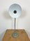 Industrial Grey Gooseneck Table Lamp from Hala, 1960s, Image 7