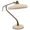 Mid-Century Modern Desk Lamp by Oscar Torlasco, Italy, 1950, Image 1