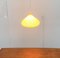 Mid-Century Pendant Lamp by Yasha Heifetz for Rotaflex Heifetz, 1960s, Image 27
