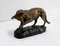T.F. Cartier, German Shepherd Dog, Early 20th-Century, Bronze 2
