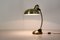 Desk Lamp with Flexible Brass Structure, 1950s 4