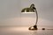 Desk Lamp with Flexible Brass Structure, 1950s, Image 4