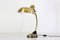 Desk Lamp with Flexible Brass Structure, 1950s 2