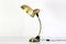 Desk Lamp with Flexible Brass Structure, 1950s, Image 1