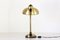 Desk Lamp with Flexible Brass Structure, 1950s 6
