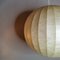 Spherical Lamp in Cocoon 3
