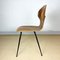 Mid-Century Lulli Dining Chair by Carlo Ratti for ILC Lissone, Italy, 1970s 6