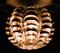 Lámpara de araña Orion de Max Sauze, Imagen 5
