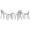 Shell Chairs by Pierre Guariche, Set of 6 1