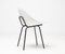 Chaises Coquillage par Pierre Guariche, Set de 6 3