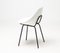 Shell Chairs by Pierre Guariche, Set of 6 5