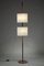 Scandinavian Black Lacquered Steel & Teak Floor Lamp with 2 Granite Acrylic Glass Diffusers, 1960s 3