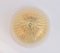 Murano Glass Ceiling Light from Italamp, Image 3