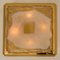Square Flush Mount or Wall Light in Murano Glass from Kalmar, Austria, 1960s 9