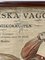 Schwedischer Vintage Anatomischer Medizinischer Wandbehang 4