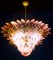 Lámpara de araña Palmette de cristal de Murano rosa, Imagen 4