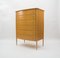 Mid-Century Chest of Drawers, 1960s 13