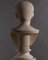 Carrara Marble Bust by Gaius Ottovianus, Image 4