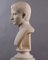 Busto de mármol de Carrara de Gaius Ottovianus, Imagen 5