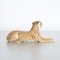 Escultura de leopardo pequeña de porcelana, Italia, Imagen 7