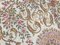 Knotted Aubusson Rug 7