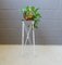 Mid-Century Plant Stand in Iron and Wood, Image 10