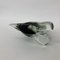 Mid-Century Murano Glass Toucan Bird, 1970s, Image 6