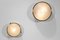 Italian Sigma Ceiling or Wall Lights by Sergio Mazza, Set of 2 6