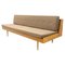 Mid-Century Folding Sofa Bed, Czechoslovakia, 1960s, Image 1