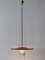 Lampe à Suspension Mid-Century Moderne par Ernest Igl pour Hillebrand Germany, 1950s 12