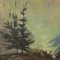 B.Roncaglia, Alpine Landscape, 1968, Oil on Plywood, Framed, Image 3