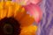 Kind of Cyan, Sunflower Lily, 2021, Impression Giclée sur Papier Photographique 5