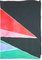 Natalia Roman, Space Age Triangles, 2021, Oil Pastel, Oil, Acrylic, Watercolor & Gouache 8