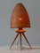 Mid-Century Scandinavian Rattan & Teak Table Lamp, 1960s 8