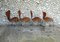 Chaises de Salle à Manger 3107 en Teck par Arne Jacobsen pour Fritz Hansen, Set de 4, 1960s 4