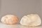 Huge Luminous Stone Caillou Lamps by André Cazenave for Atelier A, France, 1965s, Set of 2, Image 6