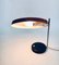 Mid-Century Modern Oslo Desk Lamp from Hillebrand Lighting, Germany, 1960s 12