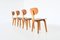 SB02 Dining Chairs by Cees Braakman for UMS Pastoe, the Netherlands 1950s, Set of 4 3