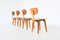 SB02 Dining Chairs by Cees Braakman for UMS Pastoe, the Netherlands 1950s, Set of 4, Image 3