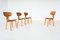 SB02 Dining Chairs by Cees Braakman for UMS Pastoe, the Netherlands 1950s, Set of 4, Image 5