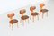 Chaises de Salon SB02 par Cees Braakman pour UMS Pastoe, Pays-Bas, 1950s, Set de 4 4