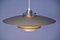 Danish Xl Hanging Lamp in Grey, 1970s, Image 6