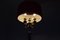 Mid-Century Stehlampe von Kamenicky Senov, 1960er 12