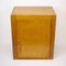 Vintage Ply Cabinet from B Linden, 1960s 3