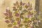 Árboles y pájaros, óleo sobre lienzo de lino, Imagen 4
